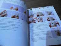 How to Sew Little Felt Animals: Bears, rabbits, squirrels and other woodland creatures (English Edition)