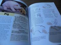 Soft Animals A to Z: Sew a Collection of 26 Realistic Toys