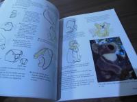 Soft Animals A to Z: Sew a Collection of 26 Realistic Toys