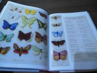 Stumpwork Butterflies & Moths (Milner Craft Series) 