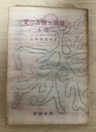 愛の苦悩と放浪（上巻）
