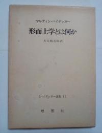 形而上学とは何か　ハイデッガー選集 1