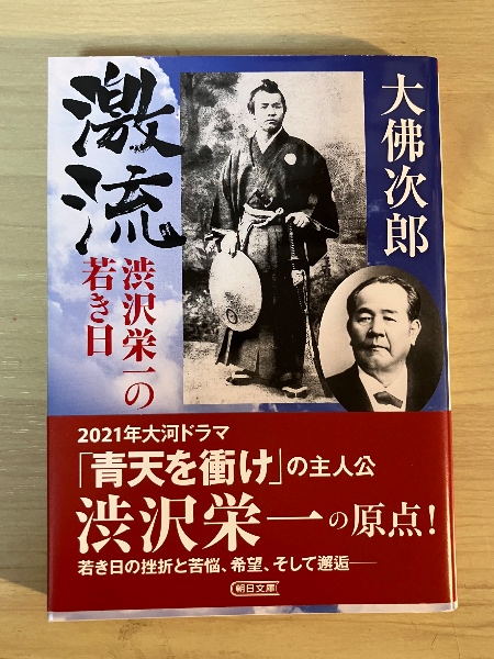四方田犬彦『大島渚と日本』 大島渚と日本(四方田犬彦 著) / リブロニワース / 古本、中古本