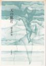 天の鴉片 : 歌集