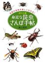 ポケット版　身近な昆虫さんぽ手帖　名前の由来が楽しくわかる！