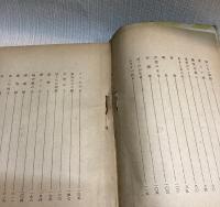 家なき児  ある浮浪児の手記