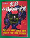 実践中国武術の世界