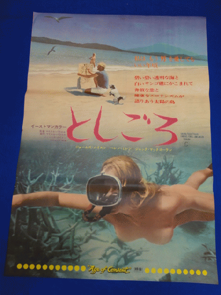 新規購入 送料無料m00820『としごろ』映画劇場公開用B2判ポスター その他