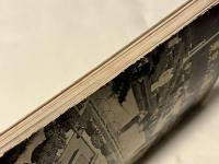 東京の公園80年