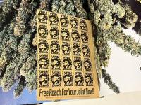 BURST増刊 BURST HIGH Vol.7 バーストハイ
ポスター・ローチ付属　2004年5月号