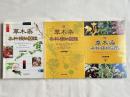 『草木染 染料植物図鑑』『続 草木染 染料植物図鑑』『続続 草木染 染料植物図鑑』3冊セット
The Illustrated Book of Dye plants 