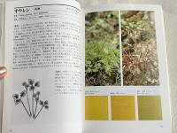 『草木染 染料植物図鑑』『続 草木染 染料植物図鑑』『続続 草木染 染料植物図鑑』3冊セット
The Illustrated Book of Dye plants 