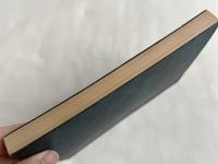 真向一途  亡父・長井津の生涯