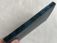 真向一途  亡父・長井津の生涯