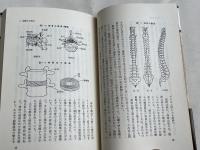 姿勢と健康  からだの構えと心のもち方