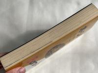 ボーン・アゲイン  ウォーターゲート後日物語