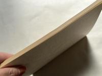 心理的ゲーム  私達のゲームに満ちた1日
PSYCHOLOGICAL GAMES 