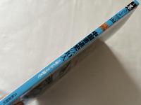 中国書道史の10人  王羲之から王鐸まで
季刊墨スペシャル