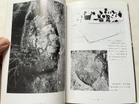 横須賀の地質