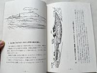 火山伊豆大島スケッチ