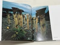 工藤和彦 作品 1970-1985