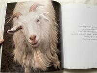 ロロピアーナ写真集『BABY CASHMERE THE LONG JOURNEY OF EXCELLENCE』ベビーカシミア 