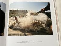 ロロピアーナ写真集『BABY CASHMERE THE LONG JOURNEY OF EXCELLENCE』ベビーカシミア 