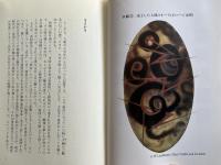 スピリチュアリズムと宇宙哲学  
人間はいずこより来りて、いずこへ行くのか