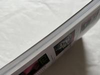 GA DOCUMENT EXTRA 11 Alvaro Siza 
アルヴァロ・シザ GAドキュメントエクストラ 