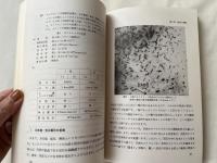小さな石にも 歴史と個性がある