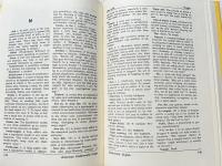 Dictionary of American Underworld Lingo アメリカ犯罪者隠語辞典 