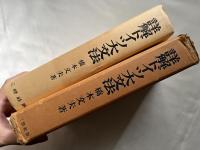 詳解ドイツ大文法