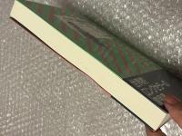 『小さな魔術師  幼児期の心の発達』