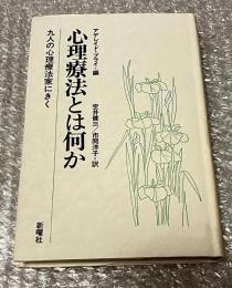 心理療法とは何か  九人の心理療法家にきく