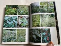 民間薬の実際知識