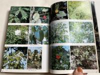 民間薬の実際知識