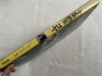 全版画集ゴヤ GOYA