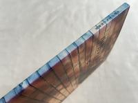 中野のまちと刑務所  中野刑務所発祥から水と緑の公園まで