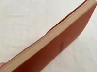 『遠山哲先生の障害児教育論』
追悼 遠山哲先生と八王子養護学校