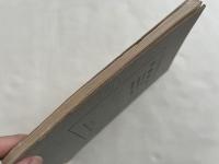 山林都市  一名林間都市