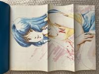 THIS IS ANIMATION ザ・セレクト3・5・7
超時空要塞マクロス上中下セット