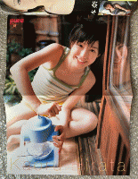 『Pure 2 ピュアピュアVol.32』付録トレカ欠 平田薫ピンナップ付 志田未来 一木有海 美咲あん 菅沼美帆
