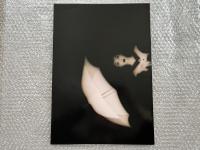 浅野温子写真集　あつあつ。