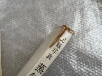 記録写真 蒸気機関車1・2 2冊セット
THE SPELL OF STEAM