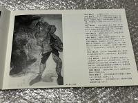 図録 丸木位里 丸木俊 足尾鉱毒の図
足尾銅山 公害 田中正造