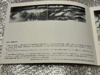 図録 丸木位里 丸木俊 足尾鉱毒の図
足尾銅山 公害 田中正造