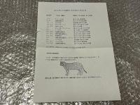 図録 文明の創造力 古代アンデスの造形芸術