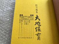 仙田満設計 野中保育園二十五周年記念写真論文集 大地保育
野中ザウルス ポストカード付属 建築 野中こども園 塩川豊子 塩川寿平