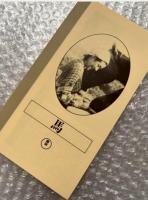 『馬』山本嘉次郎監督 
日本映画傑作全集VHS