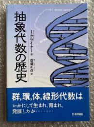 抽象代数の歴史 参考書 受験 数学 斉藤正彦